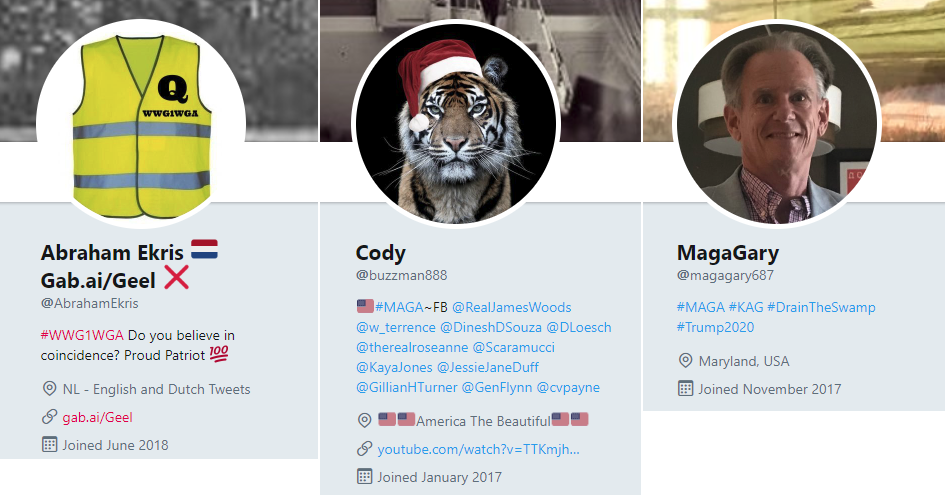 es supporters de Trump MAGA sont les premiers influenceurs de #YellowVests sur Twitter